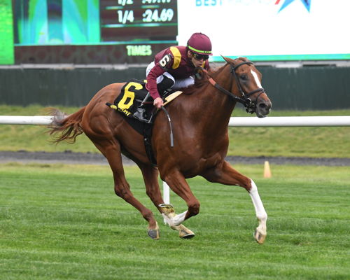 Photo: Kalik winning the Grade 2 Pennine Ridge at Belmont. Courtesy Coglianese Photo/NYRA
