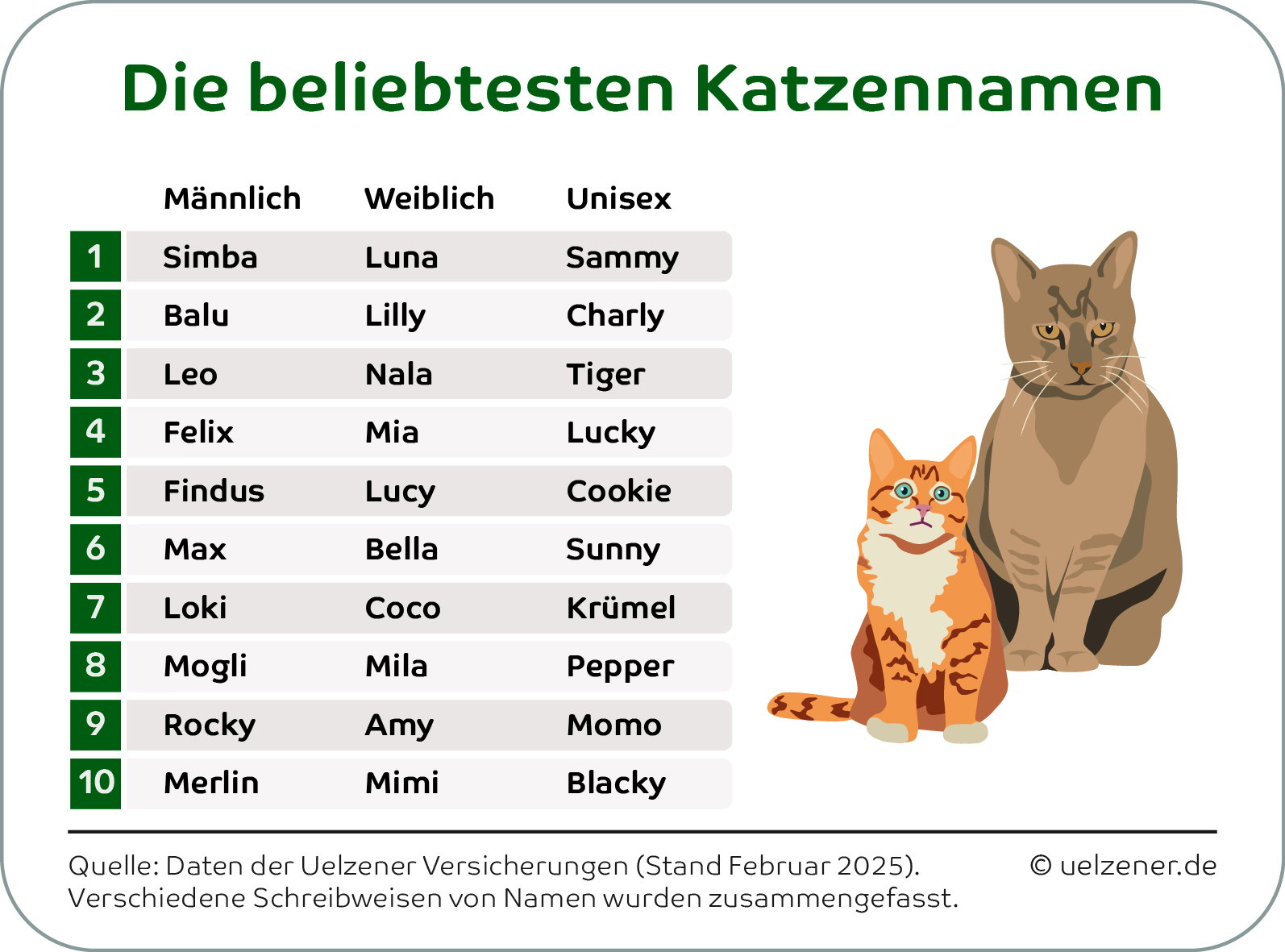 Simba und Schnurrsula auf Samtpfoten: Ranking der beliebtesten und einfallsreichsten Katzennamen in Deutschland