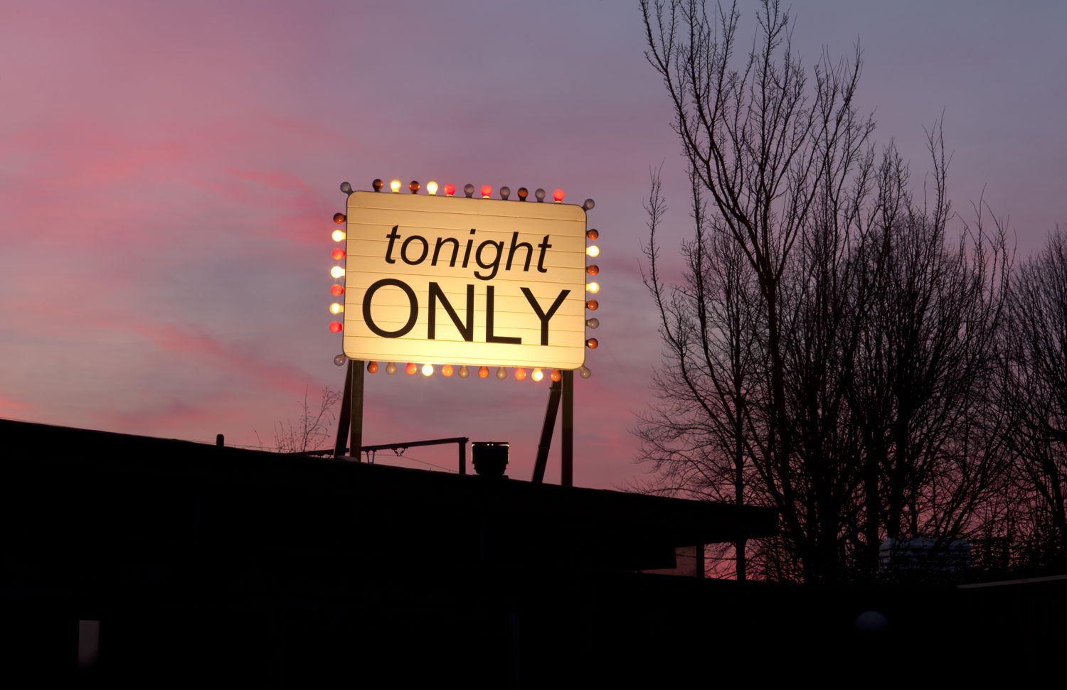 Kelly Schacht, Tonight Only (2007) billboard with text and lamps, electronic device courtesy: Collection R., SOFACQ Gallery, Merelbeke (BE)