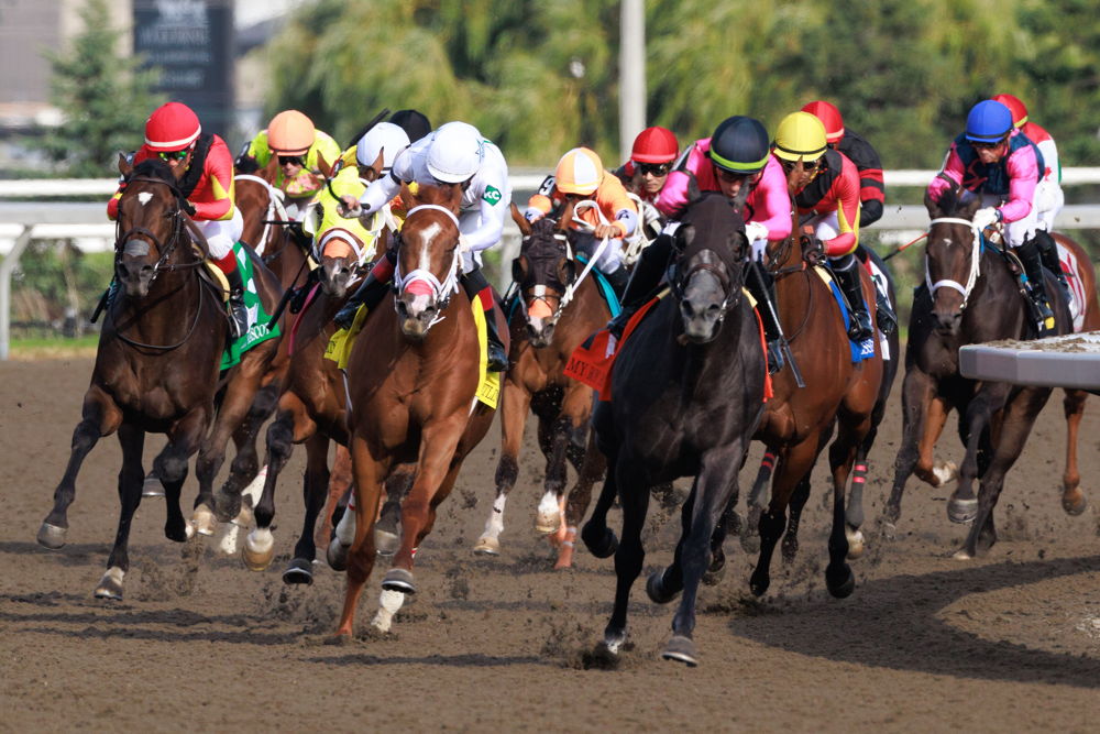 Caitlinhergrtness and jockey Rafael Hernandez winning the 165th King's Plate on August 23, 2024 at Woodbine (Michael Burns Photo) Caitlinhergrtness and jockey Rafael Hernandez winning the 165th King's Plate on August 23, 2024 at Woodbine (Michael Burns Photo)