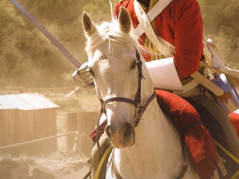 Die berühmten Royal Scots Greys nehmen an der Gedenkfeier zur Schlacht von Waterloo teil!