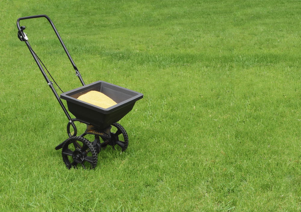 Lawn with seed spreader