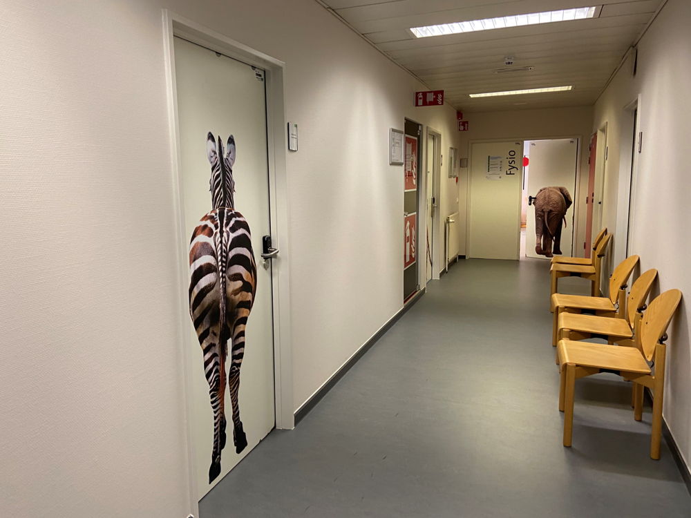 Het safarithema is doorgetrokken in de gangen naar de onderzoeks- en oefenruimtes.