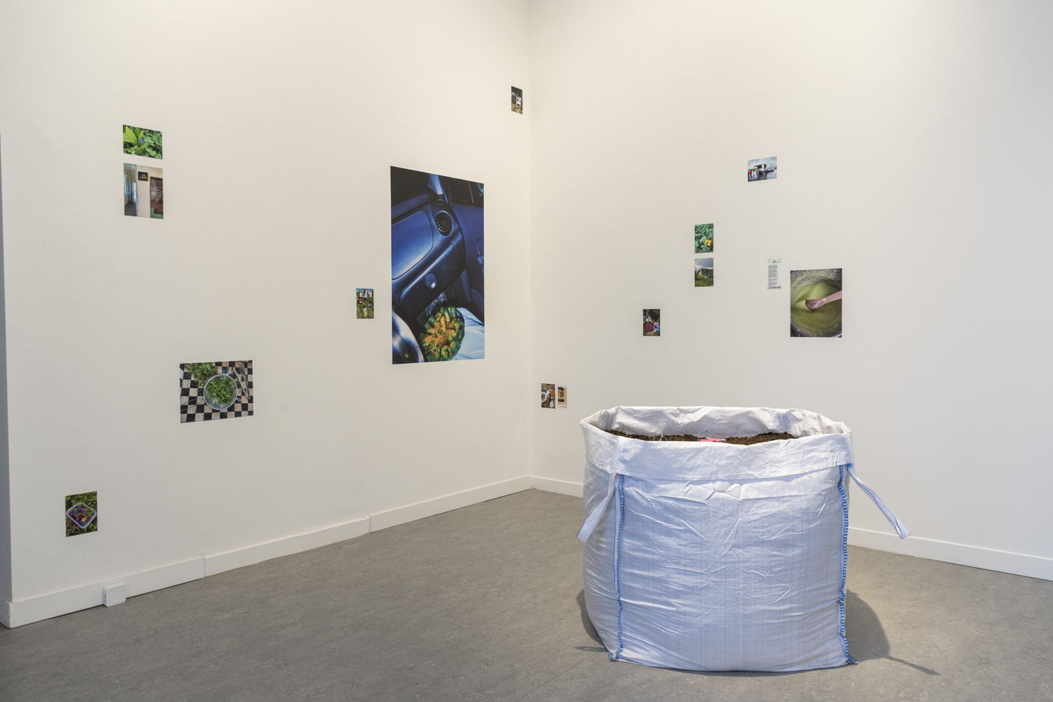 Installation view of the exhibition Seasonal Neighbours: Our Invisible Hands at Z33 House for Contemporary Art, Design & Architecture, Hasselt, Belgium. Photo: Selma Gurbuz.