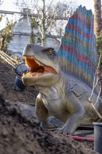 Pelycosauria