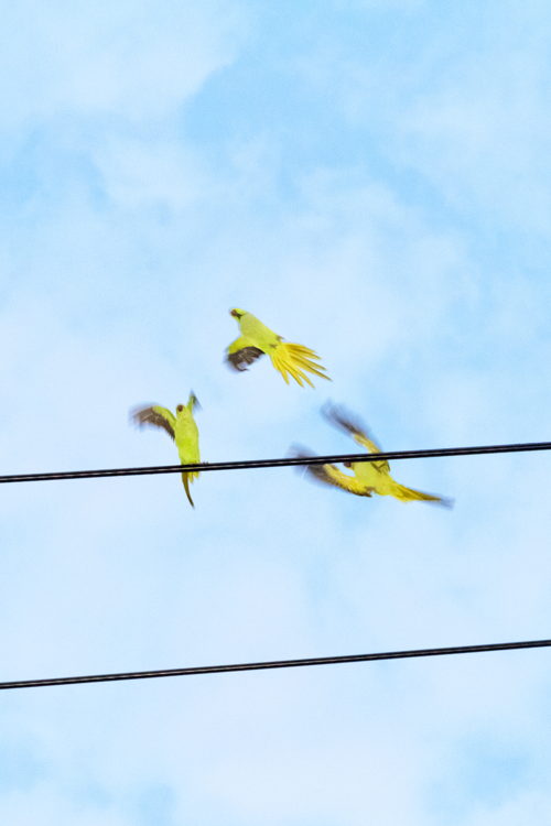20130625_6635