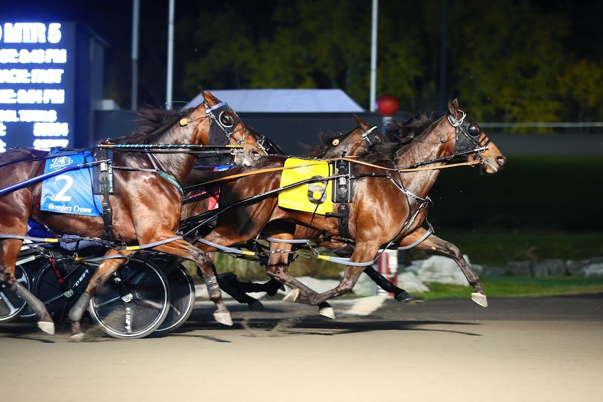 Treacherous Dragon winning the 3 Year Old Filly Pace Breeders Crown Final (New Image Media)