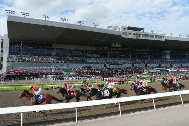 Horses run by the Grandstand shortly after the start of the 2024 King's Plate. (Michael Burns Photo)