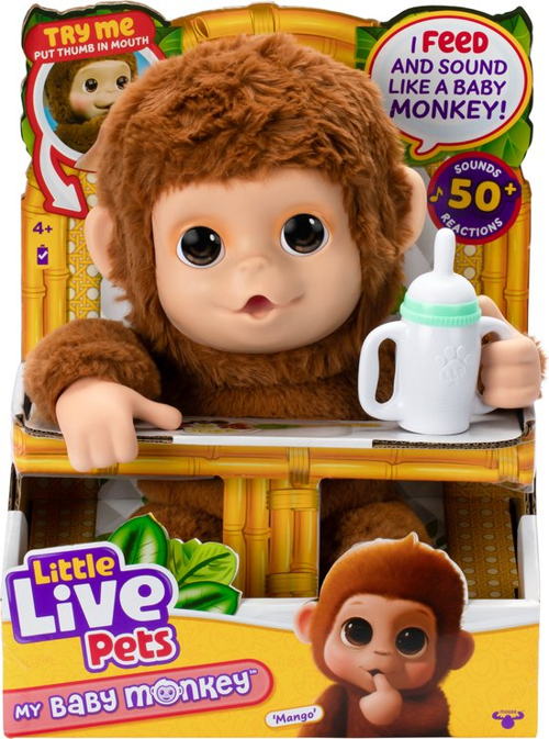 my baby monkey