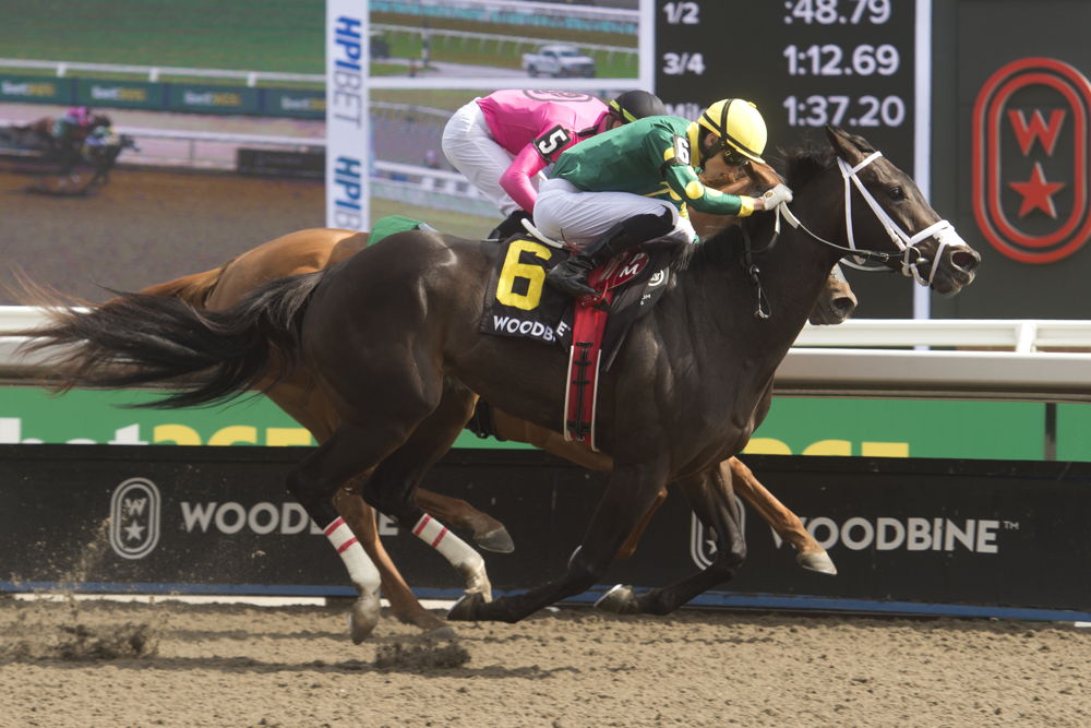 Fashionably Fab and jockey Pietro Moran winning the Belle Mahone Stakes on June 1, 2024 (Michael Burns Photo)