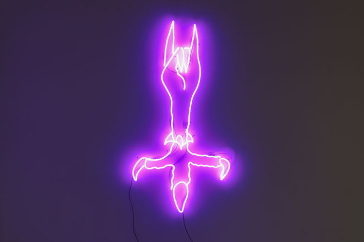 Daan Gielis, BATHORY, 2020 Neon lighting, H 140 x W 75 cm, Installation view at Limbo, Everyday Gallery, group show, Copyright: Seppe Elewaut 