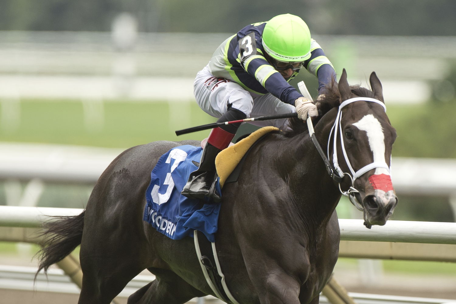 Live Lucky and jockey Rafael Hernandez winning the Lake Superior Stakes on August 4, 2024 at Woodbine (Michael Burns Photo)