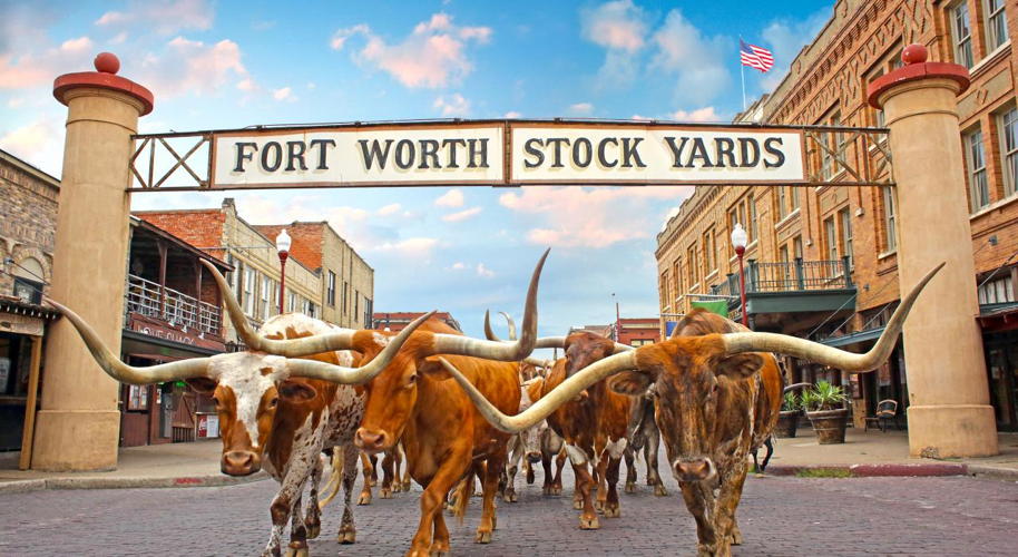 Forth Worth Stockyards