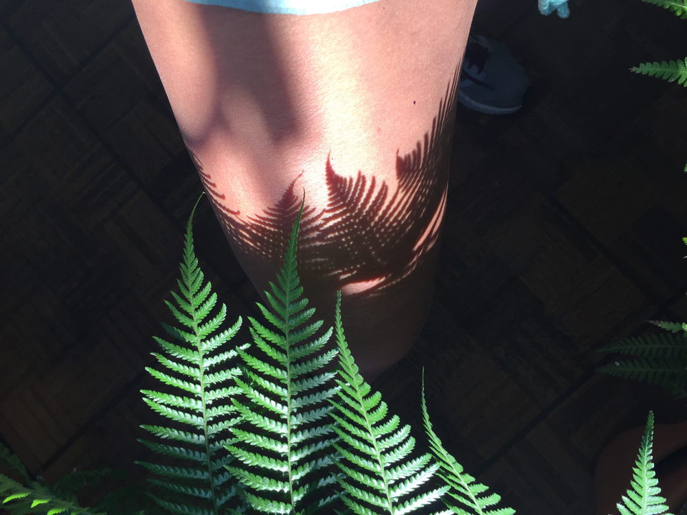Coral Lab & Azahara Ubera Biedma - Plant Readers Sessions