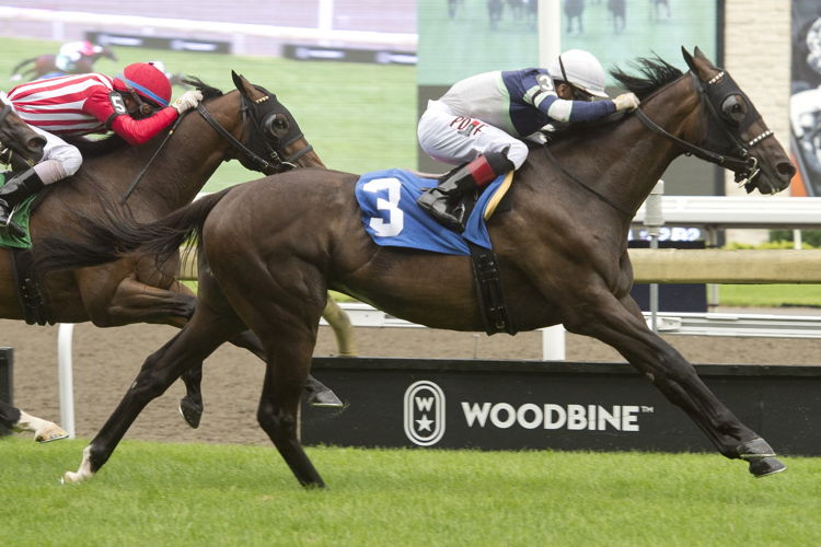 Dream Shake (3) and Rafael Hernandez winning Sunday's Grade 2 Connaught Cup Presented by Bulleit Bourbon. (Michael Burns Photo)