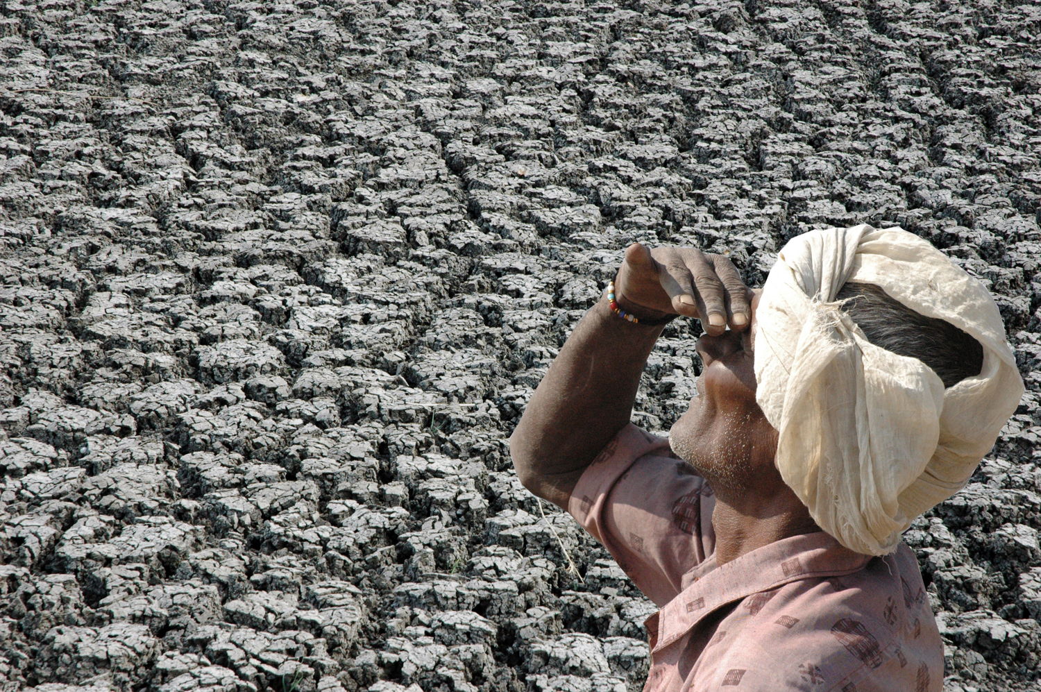 A farmer on his parched land in India.