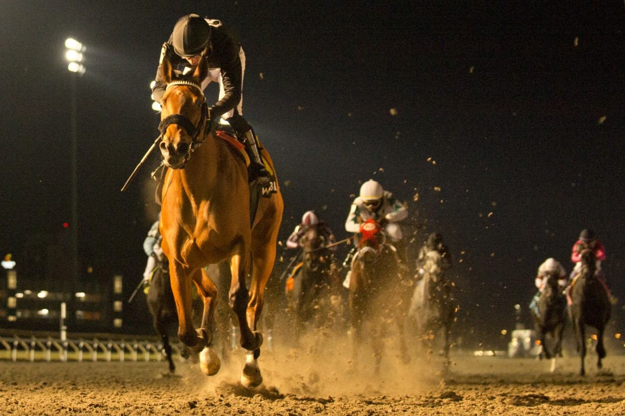 Il Malocchio and jockey Sahin Civaci winning the La Prevoyante Stakes on Saturday at Woodbine (Michael Burns Photo)