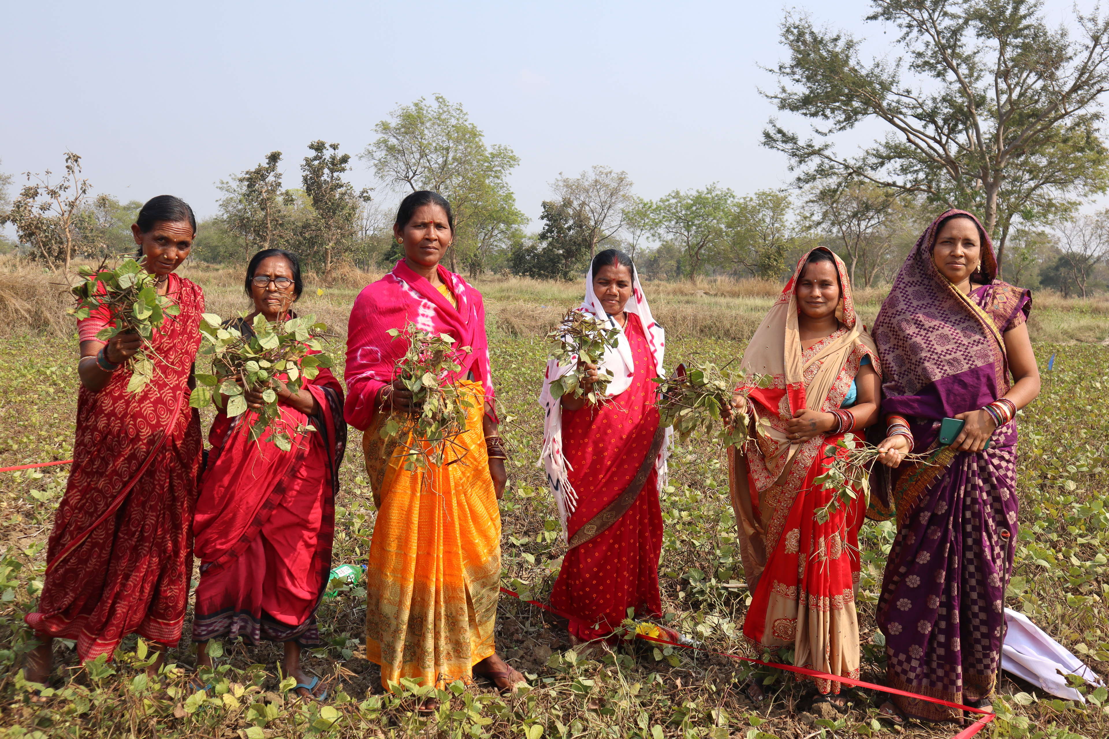 Empowering Tribal Women Farmers: ICRISAT's International Women's Day Celebration in Odisha