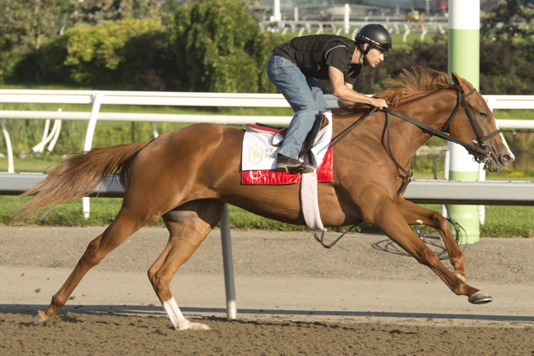 Elysian Field. (Michael Burns Photo)
