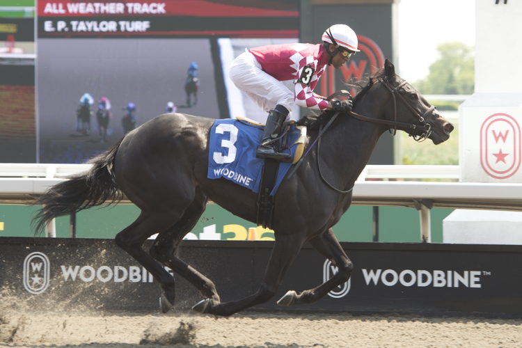 Winterberry and jockey Patrick Husbands winning the Fury Stakes on June 7, 2025 at Woodbine (Michael Burns Photo)