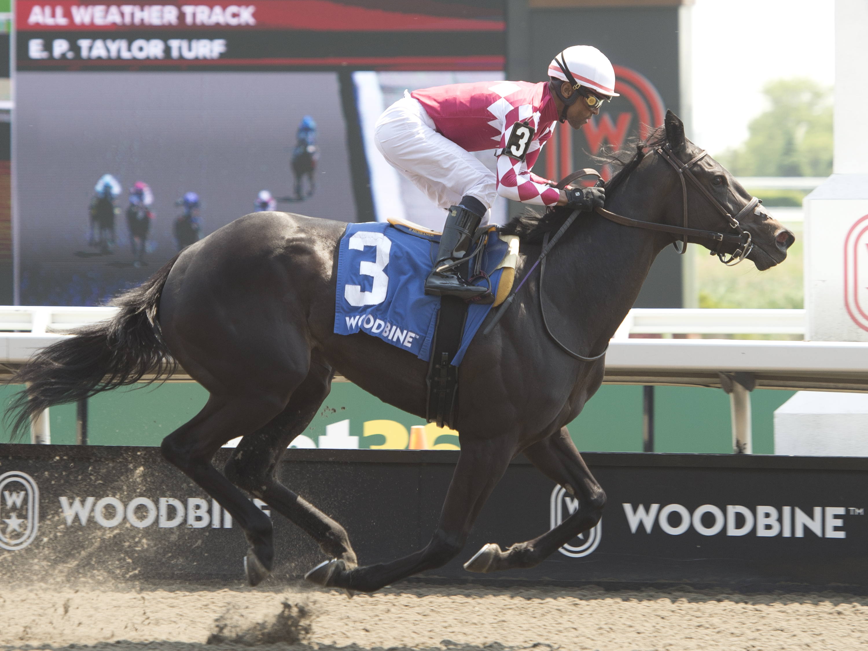 Winterberry gives Casse his record ninth Fury Stakes score