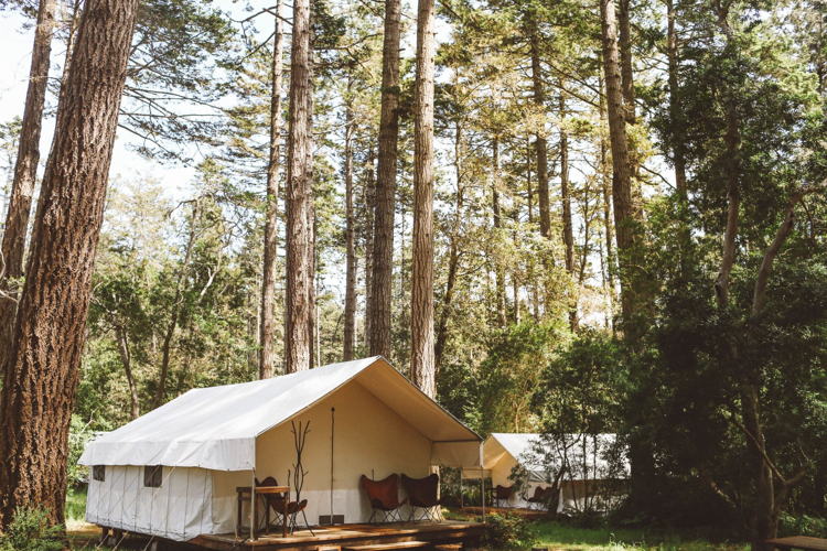 Mendocino Grove, Mendocino, CA
