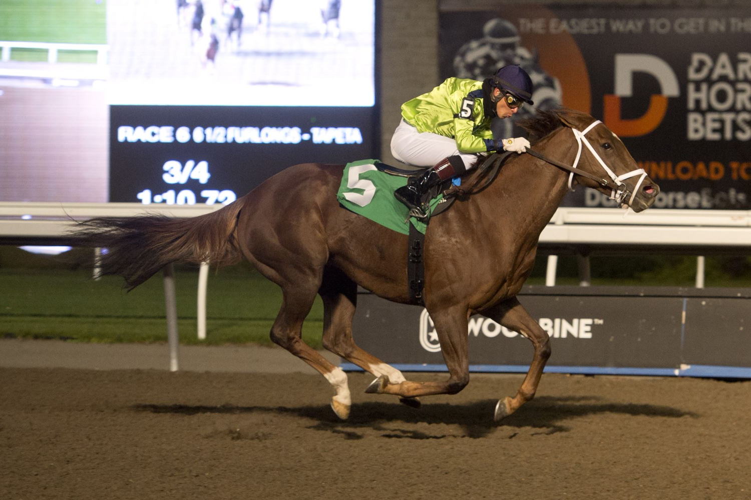 Campos winning with Ima Daredevil on October 20, 2022 (Michael Burns Photo)