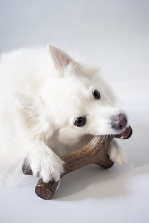 Benebone Maplestick 