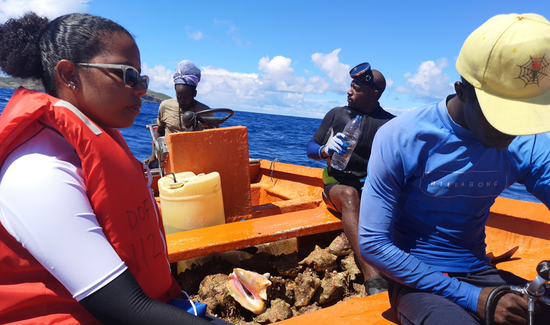 OECS Queen Conch (Lambi) Project: Focused on the RIGHT trade and business potential