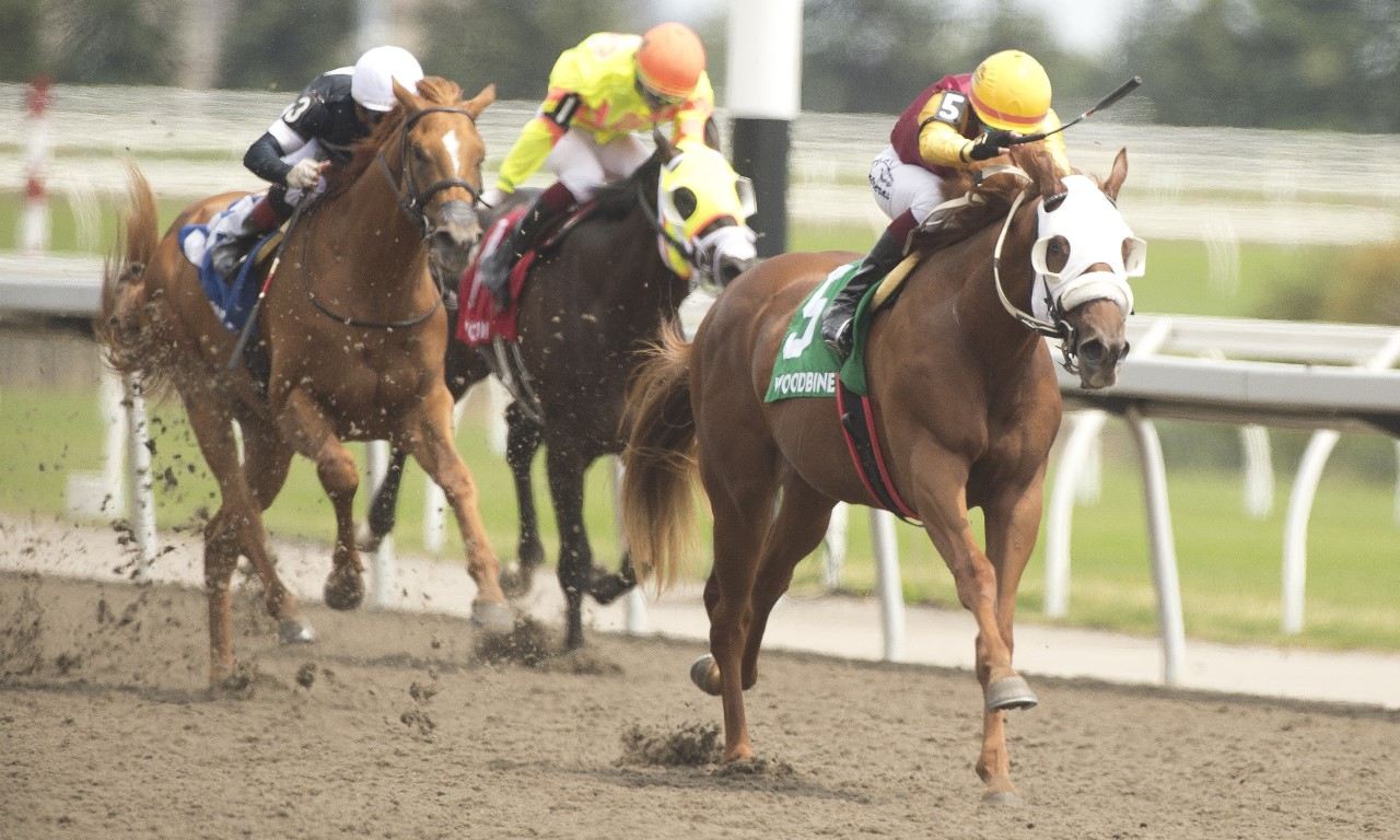 Poulin in O T and Luis Contreras winning Sunday's Victoria Stakes. (Michael Burns photo)