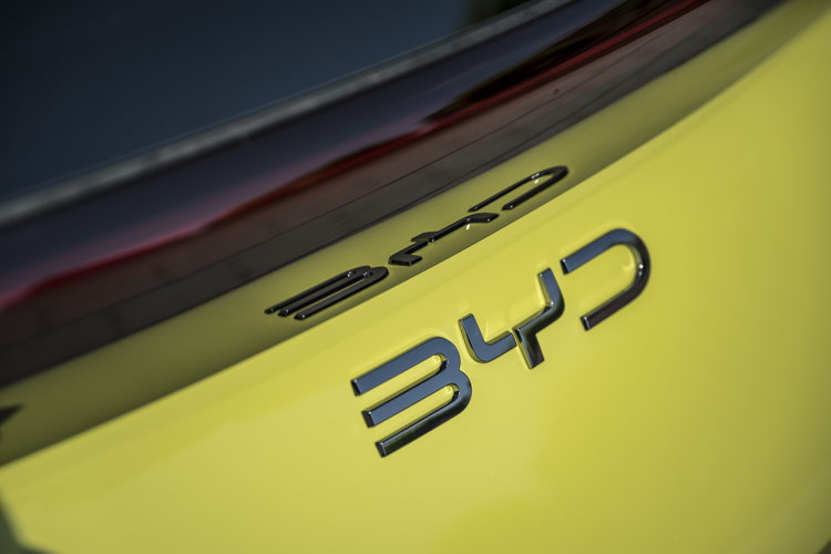 2025 BYD DOLPHIN SURF DETAIL 023