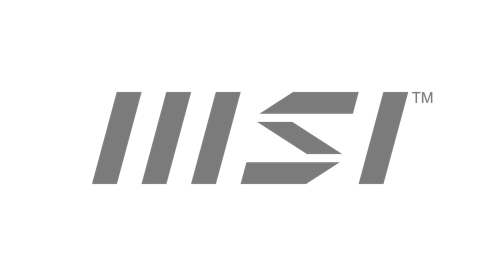 Business Logo MSI grau