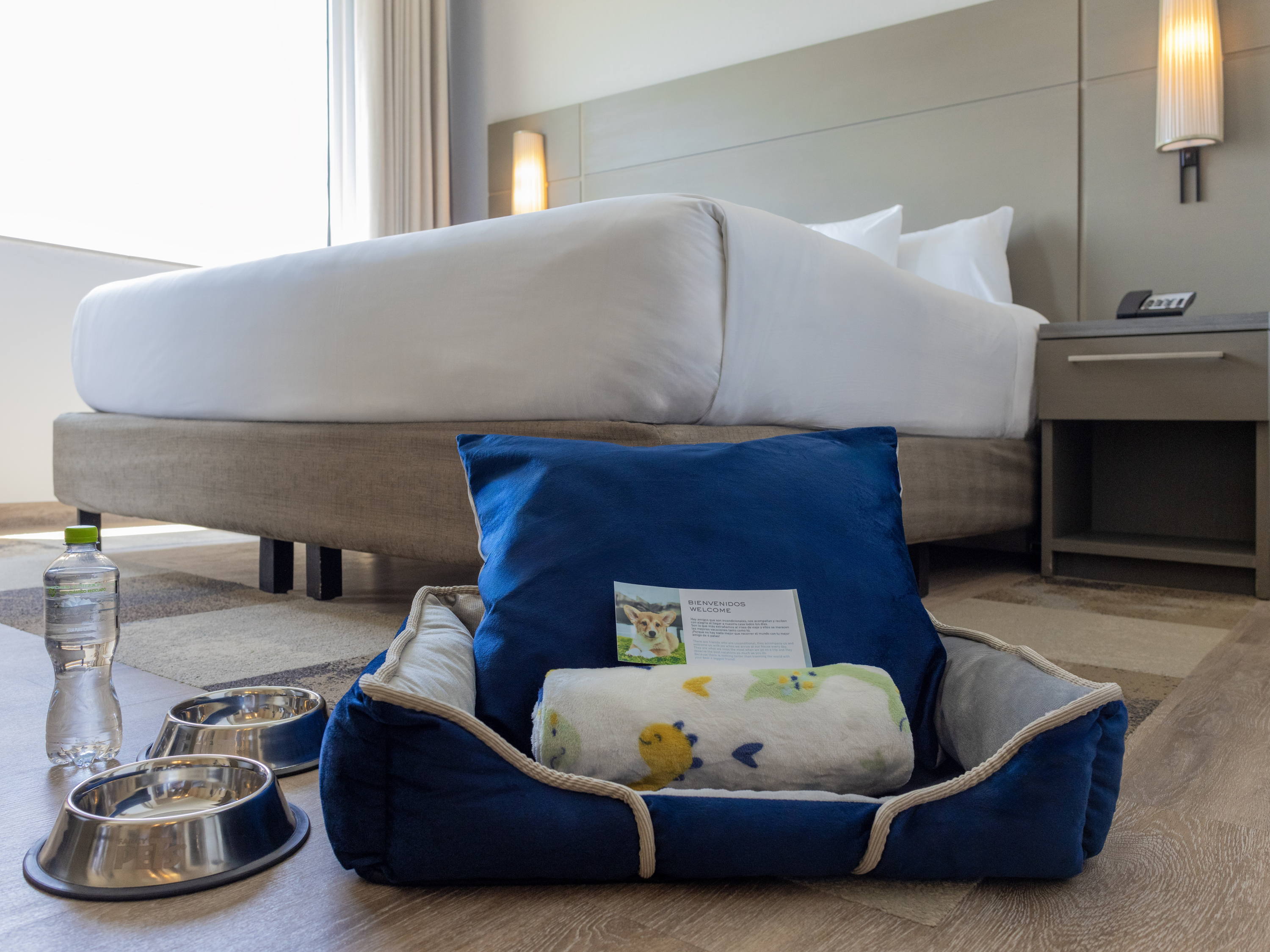 5 Lugares pet friendly en la Riviera Maya para celebrar el día internacional del perro