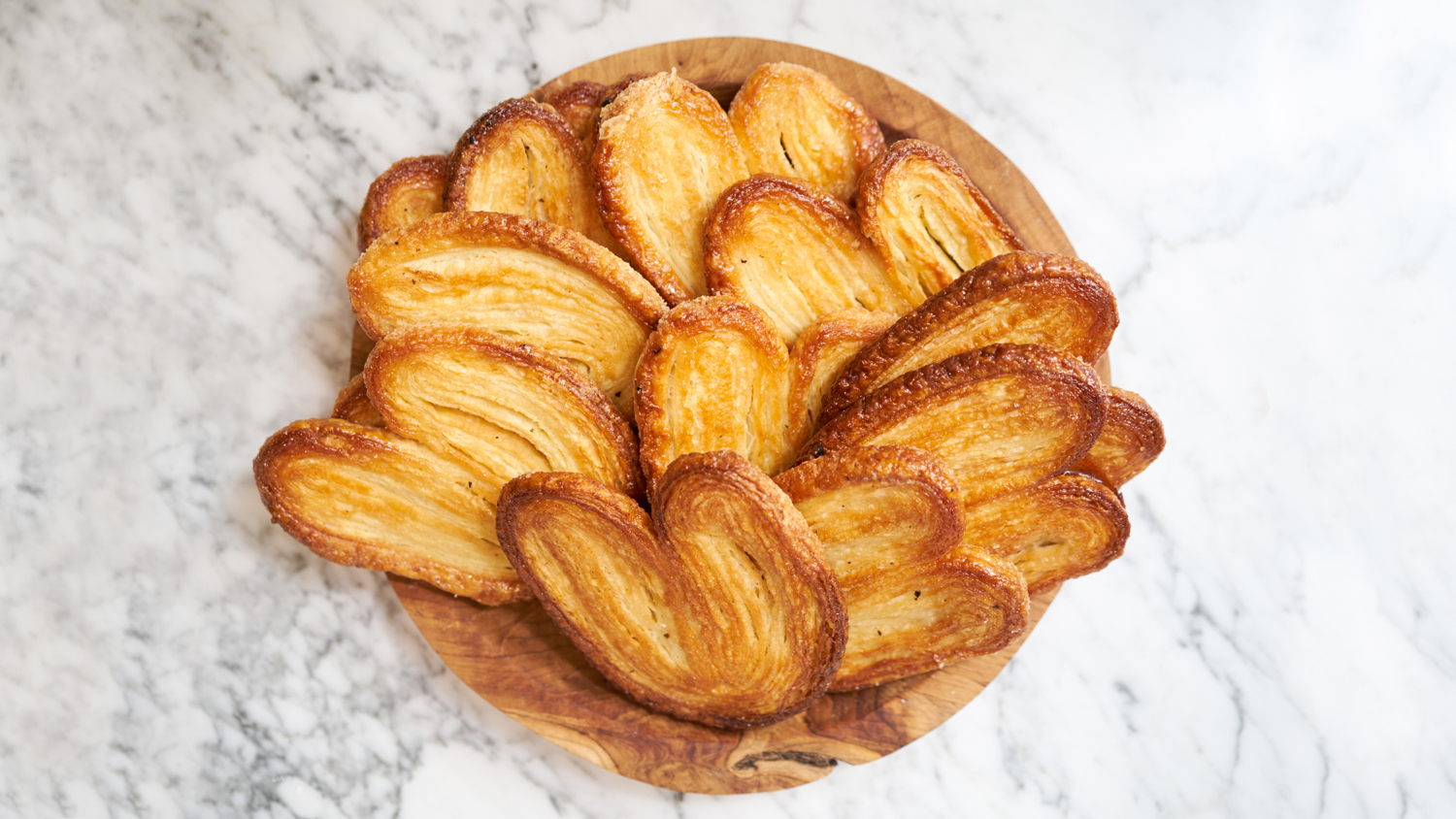 Renard-Palmiers