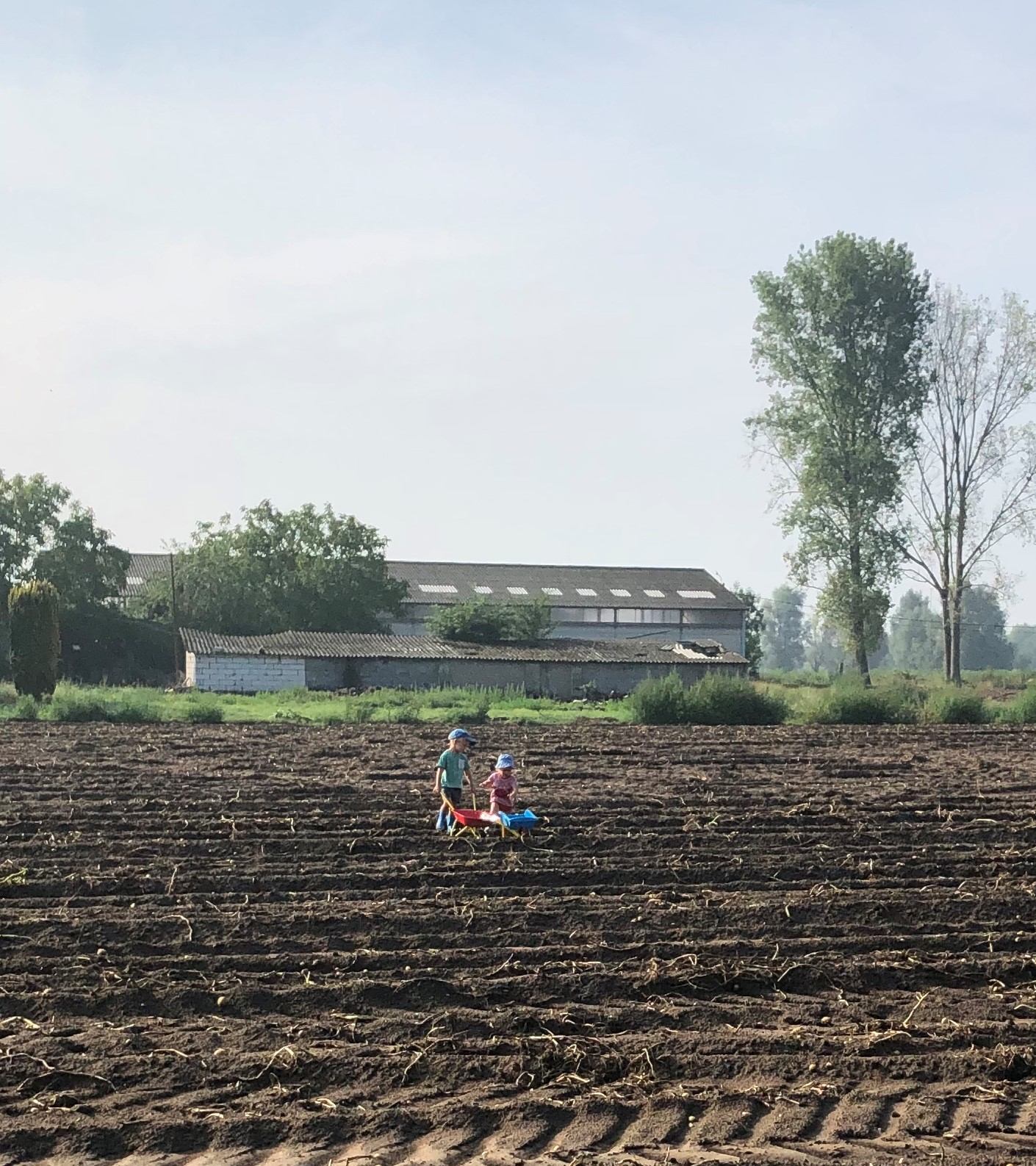 Op de voormalige akker komen bomen en struiken
