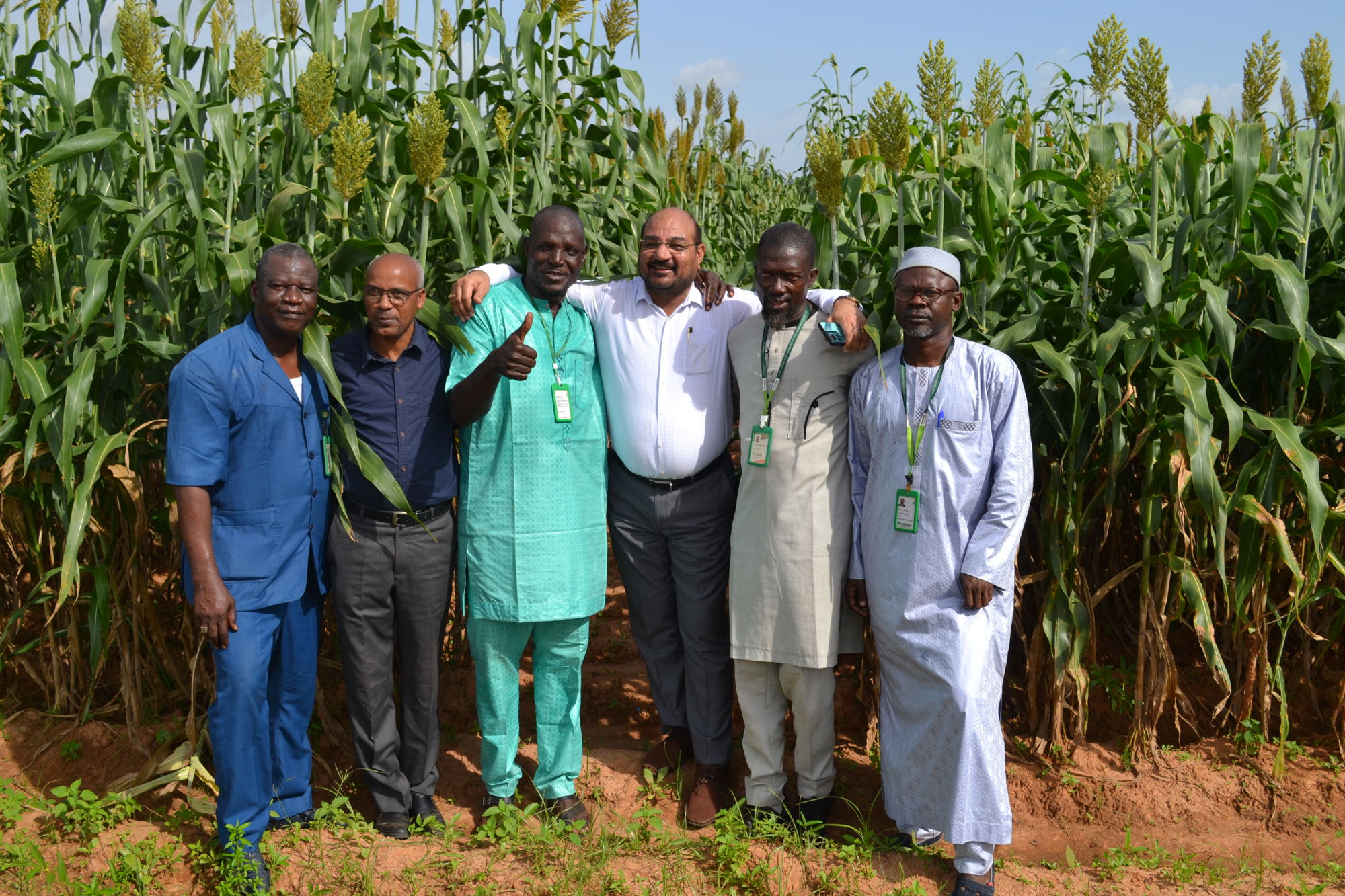The in-country ICRISAT Mali team shares insights from their field trials.
