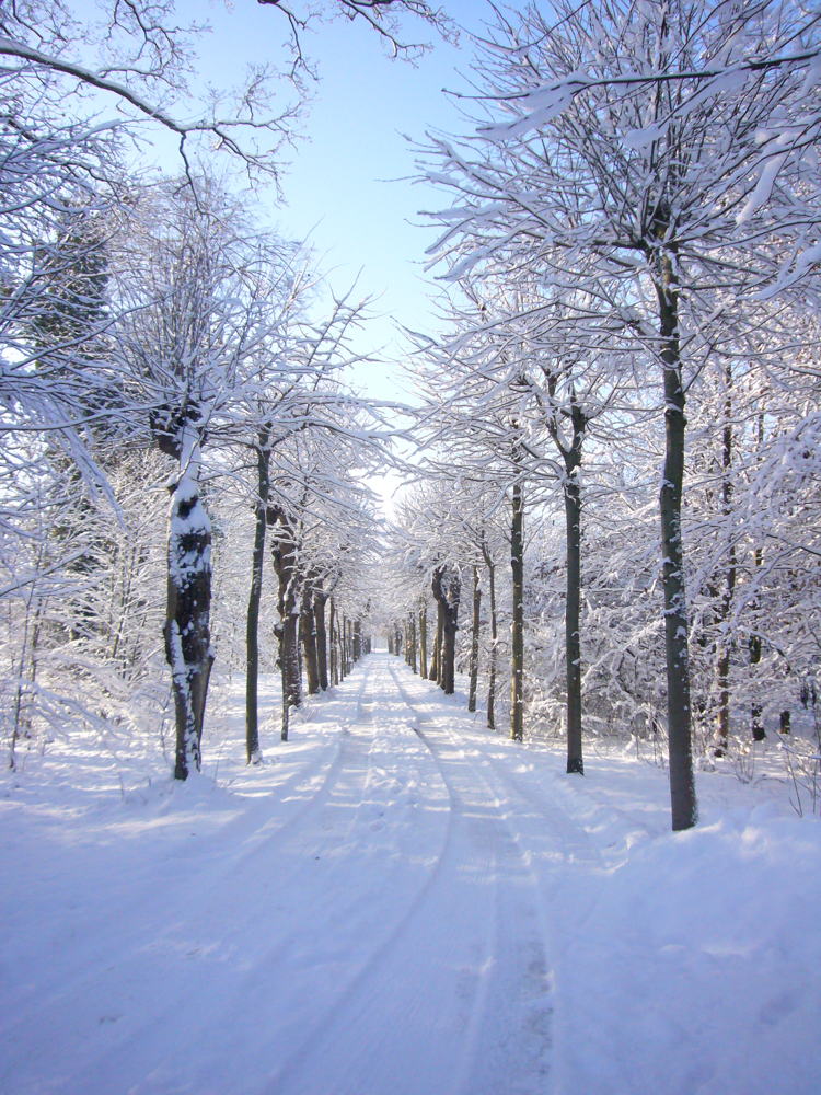 Puyenbroeck in de sneew