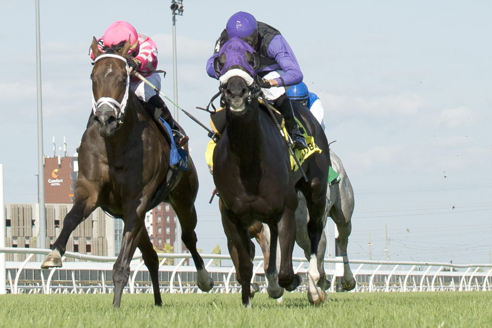 Outlaw Kid and jockey Kazushi Kimura winning the Vice Regent on August 5, 2023 at Woodbine (Michael Burns Photo)