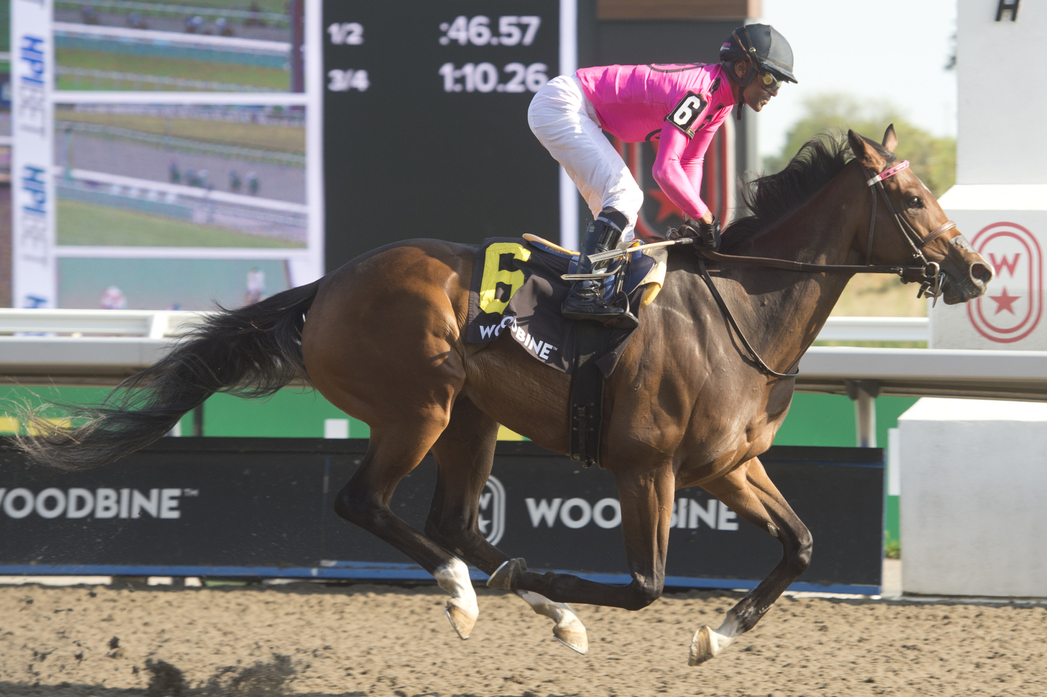 Witwatersrand rules the Ruling Angel / Trainer Steve Attard records ...