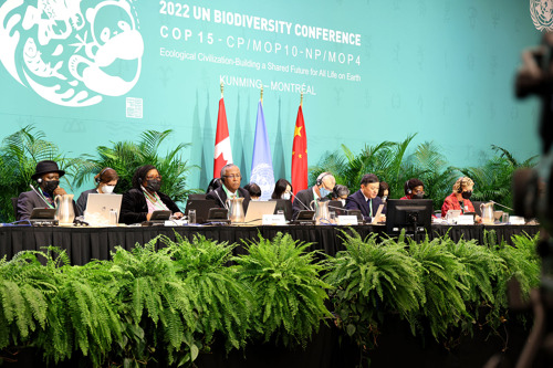 The OECS and CARICOM Committed to Preserving Caribbean Biodiversity