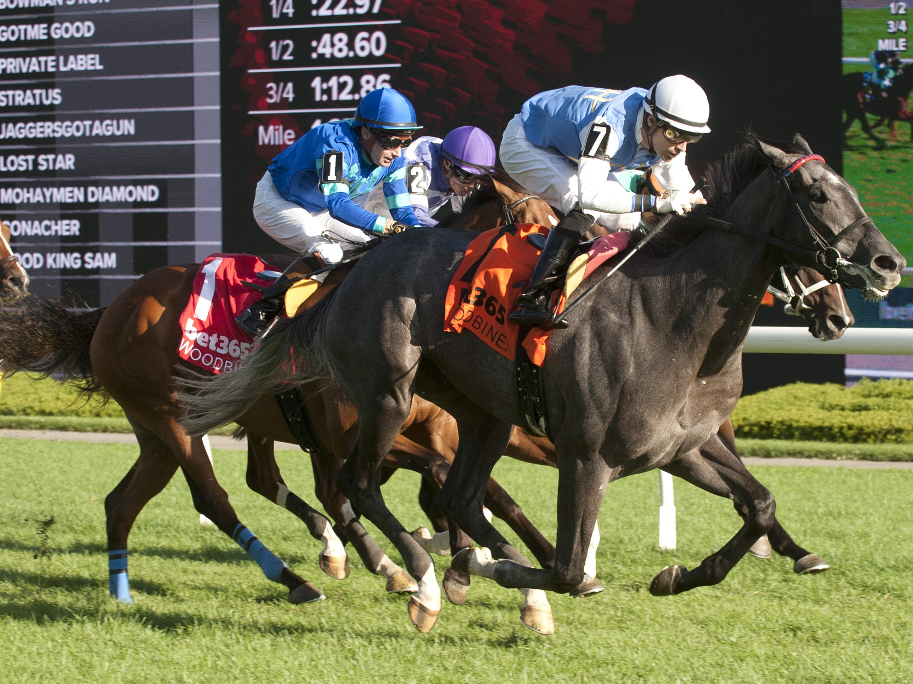 Regal Moment ready for Ashbridges Bay appointment / Ciunas looking to make a splash for Attfield in Lake Ontario