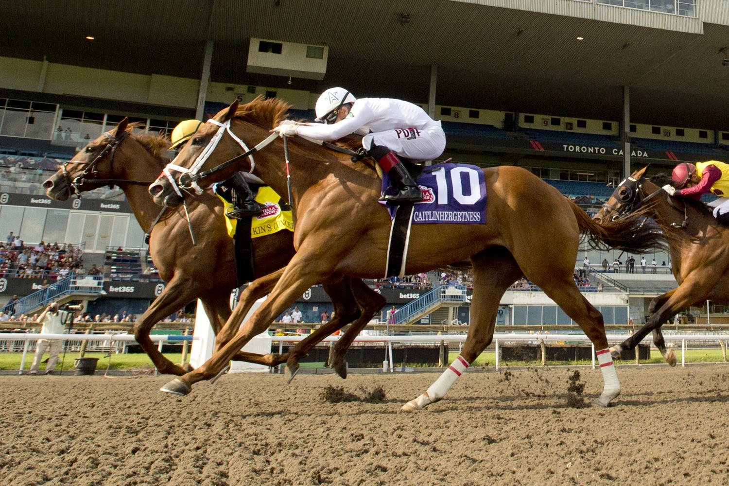 Kin's Concerto and jockey Sofia Vives winning the Woodbine Oaks presented by Stella Artois on July 20, 2024 at Woodbine (Michael Burns Photo)