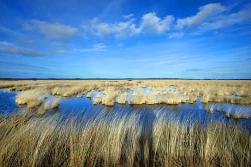 Fochtelooer Veen - Visit Friesland