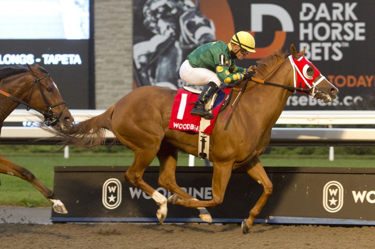 Amalfi Coast strides to victory in the 2021 edition of the Ontario Fashion Stakes at Woodbine. (Michael Burns Photo)