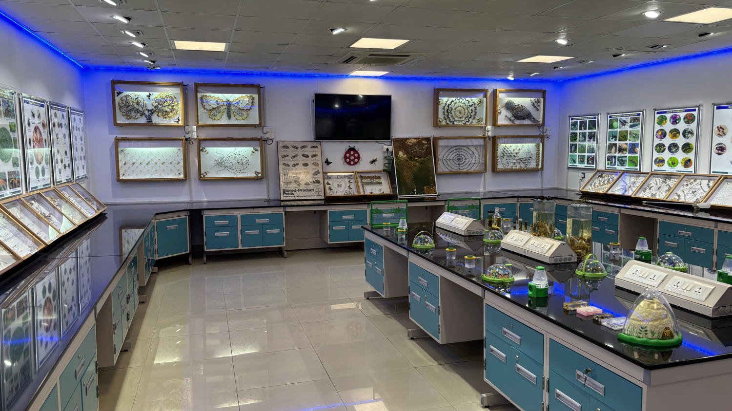 Insect museum at ICRISAT headquarters