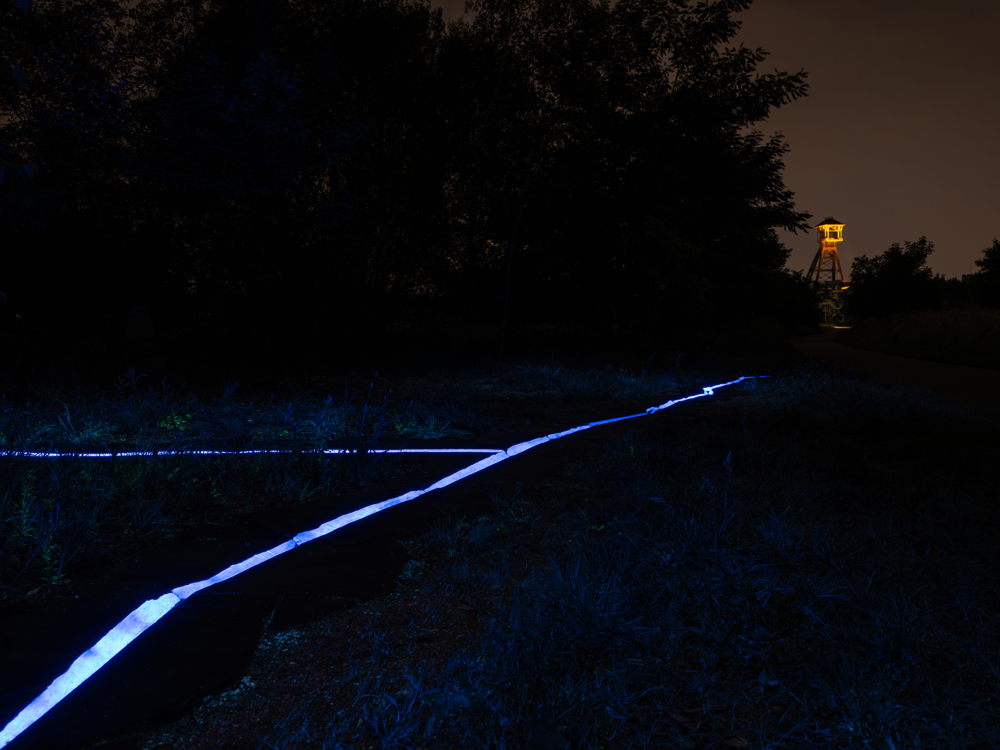 16LichtsporenRoosegaarde