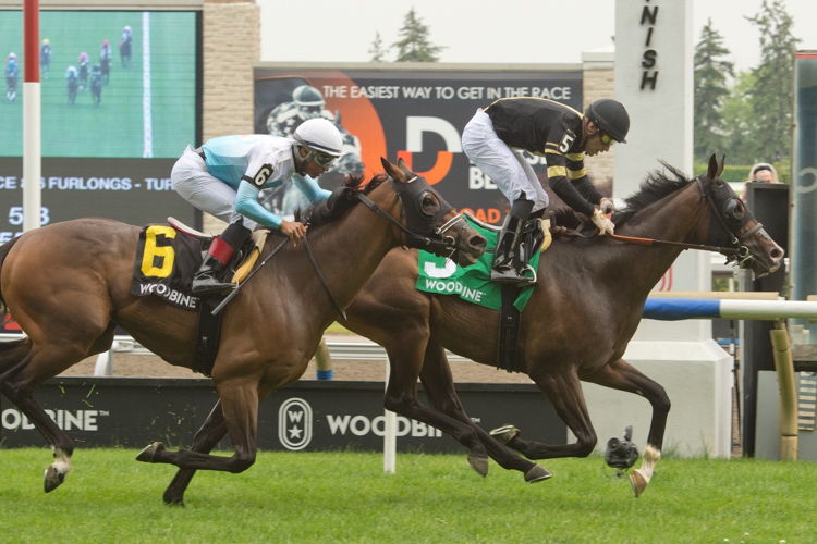 Lucky Score and jockey Sahin Civaci winning the Highlander Stakes on July 1, 2023 at Woodbine (Michael Burns Photo)