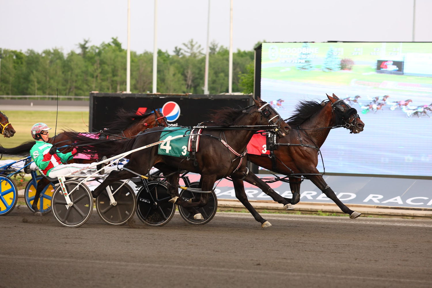 Christchurch and driver Dexter Dunn winning the first Pepsi North America Cup Elimination on June 10, 2023 at Woodbine Mohawk Park (New Image Media) 