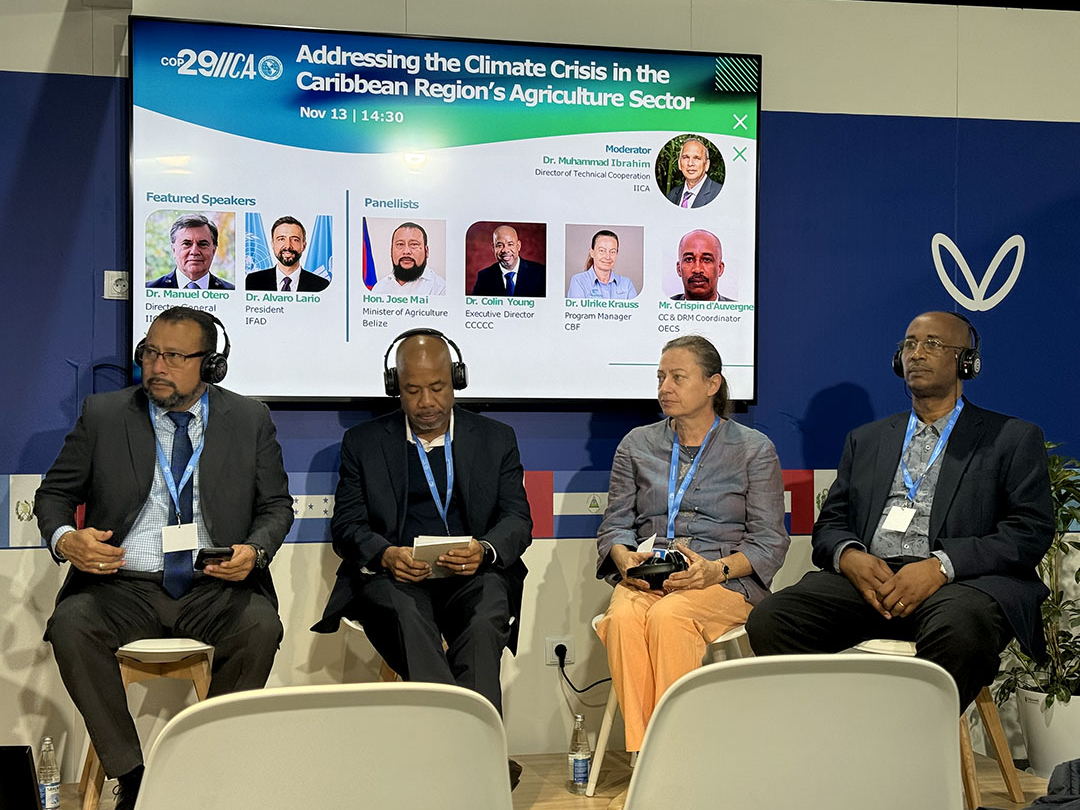 At COP29, Caribbean nations Highlighted the impact of Extreme Weather on Agriculture and Showcased their Resilience-Building Efforts.