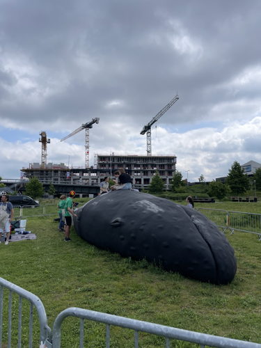 (C)IOBZ EVH Wij Zjn De Walvis Kortrijk 32